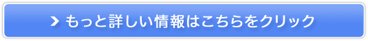 vs̔TCg
